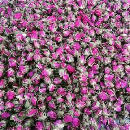 خرید انواع غنچه گل محمدی لاله زار