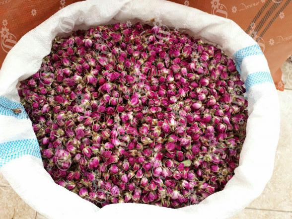 خرید انواع گل محمدی خشک کیلویی در بازار