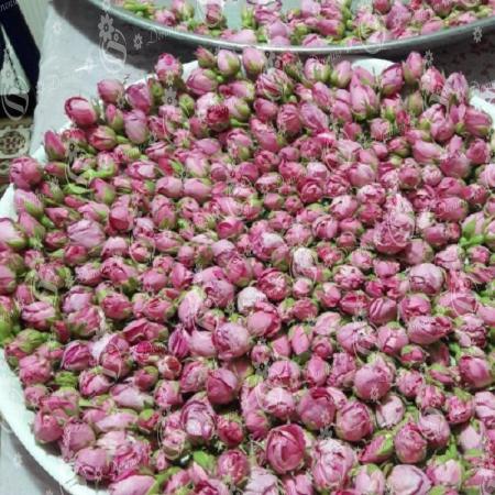 مراکز خرید گل غنچه گل محمدی در تهران