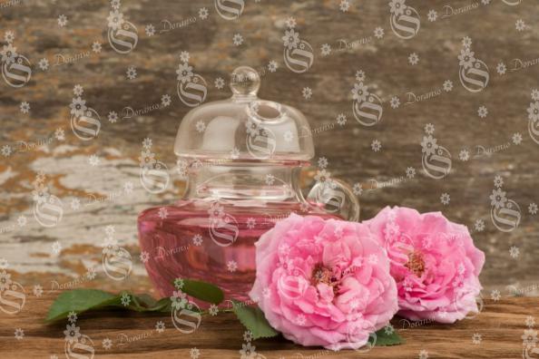 فواید گل محمدی پاییزه