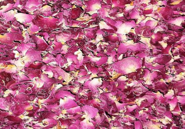 انواع غنچه خشک گل در ایران