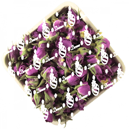 تقسیم بندی انواع غنچه گل محمدی 