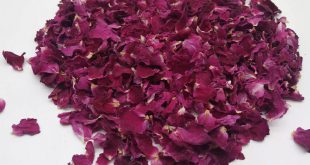 آخرین قیمت گلبرگ گل رز صادراتی در سال1401