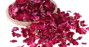 فروش عمده گلبرگ گل رز قرمزخشک صادراتی با کیفیت بالا در بازارهای بین المللی