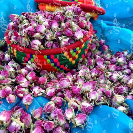 فروش عمده گلبرگ گل محمدی صادراتی با بالاترین کیفیت و ارزانترین قیمت دربازار ایران
