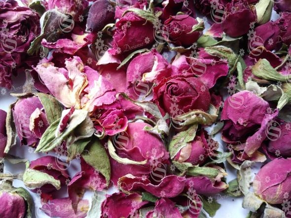 قیمت گل محمدی با کیفیت