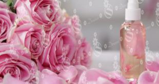 انواع گلاب گل محمدی در ایران