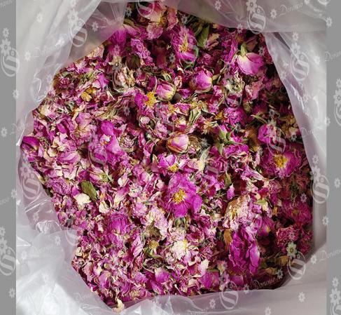 انواع گل محمدی برای چای با نرخ ارزان