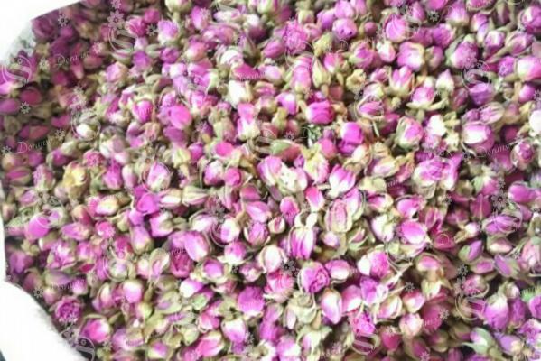 خرید غنچه گل محمدی کیلویی با قیمت مناسب