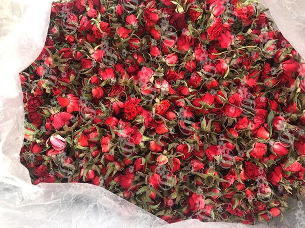 خرید انواع گل سرخ خشک شده در کشور