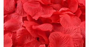 عرضه عمده گلبرگ گل رز قرمزخشک صادراتی با تخفیف ویژه در سراسر کشور