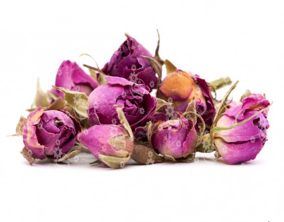 قمیت غنچه گل محمدی با کیفیت عالی برای فروش عمده در سراسر کشور