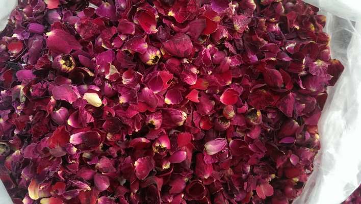 فروش عمده گلبرگ گل رز قرمزخشک در بازار جهانی