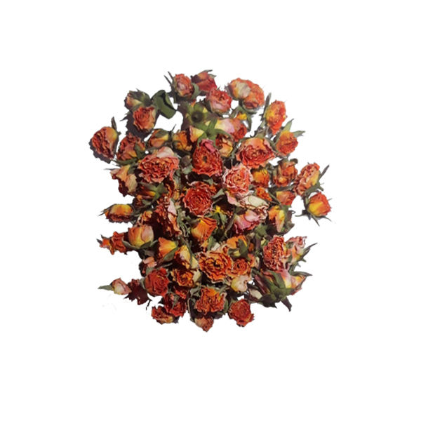 فروش غنچه گل رز رنگی صادراتی برای فروش عمده در بازار ایران
