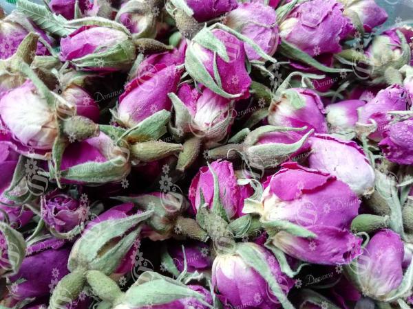 قیمت عمده غنچه گل محمدی صادراتی با کیفیت در بازار ایران