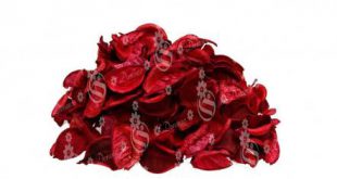 فروش عمده گلبرگ گل رز خشک شده مناسب صادرات