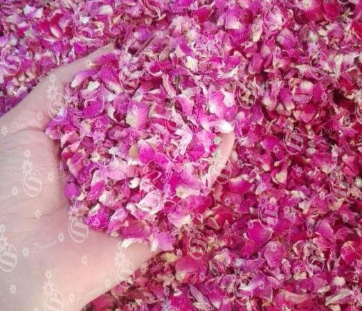 بهترین قیمت پر گل محمدی برای فروش در بازار تهران