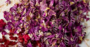 قیمت فروش گلبرگ گل محمدی صادراتی در ایران