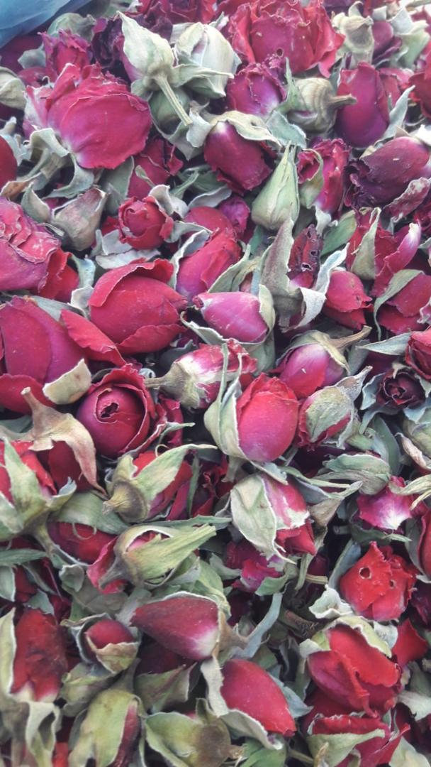 خریدار غنچه رز قرمز گوجه ای با کیفیت صادراتی در بازار گل فروشی تهران