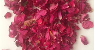 فروش عمده گلبرگ گل رز قرمز خشک+قیمت ارزان