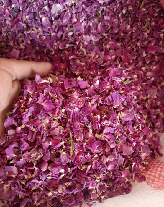 خرید بهترین قیمت گلبرگ محمدی خشک شده