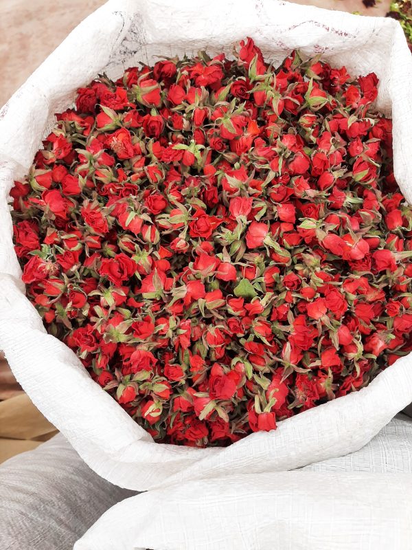 قیمت غنچه گل رز قرمز چقدر است؟