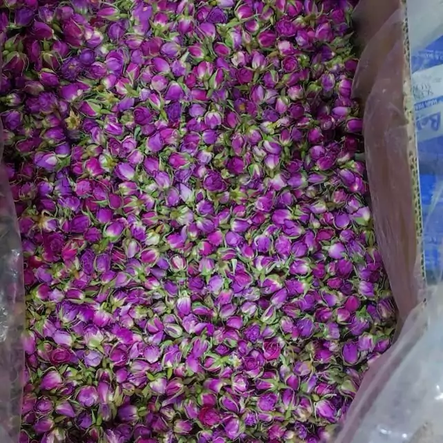 صادرات غنچه خشک خوراکی گل محمدی