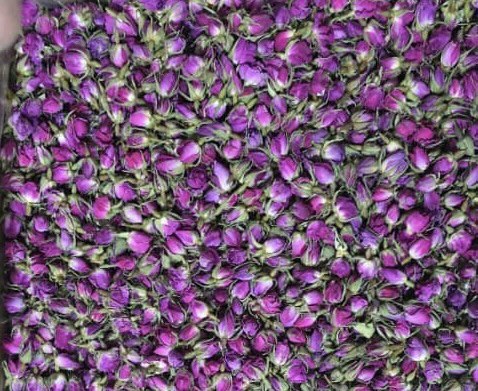 صادرات غنچه خشک خوراکی گل محمدی